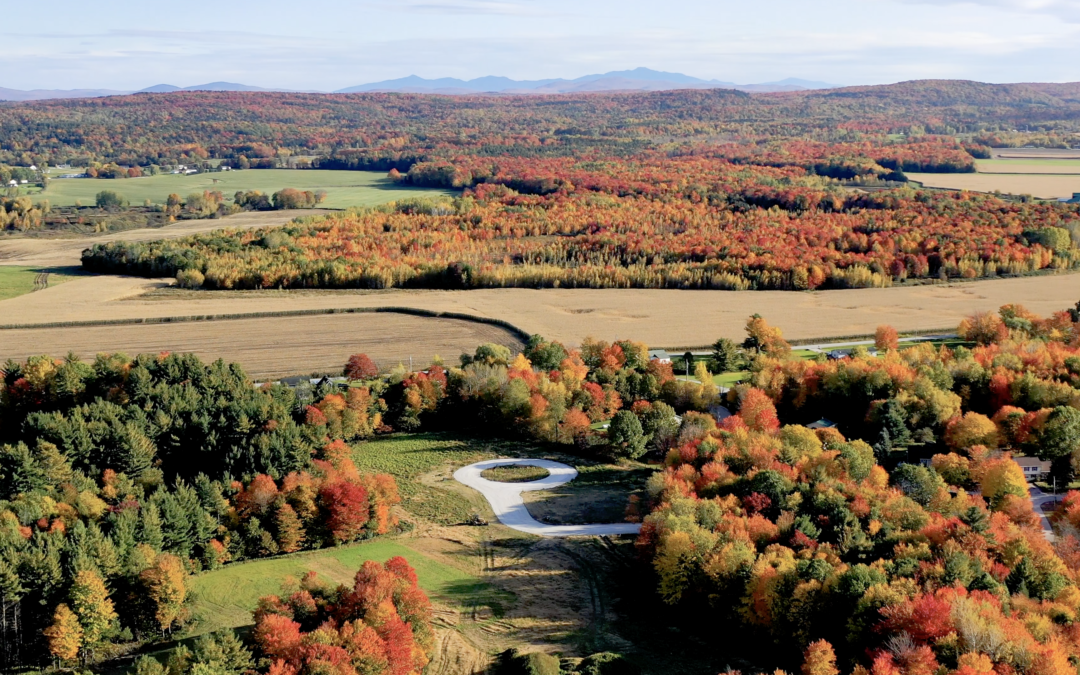 Maple Lane Drone Photo